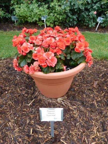 2016 Michigan State University Field Trials