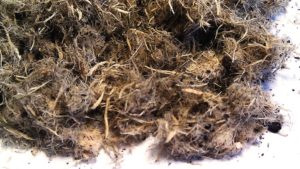 Problems With Your Growing Media? Suppliers Have Answers