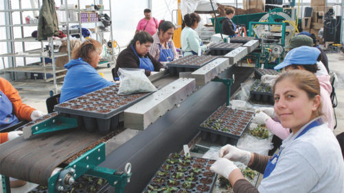 New Bipartisan Coalition Urges Immigration Reform Ahead of 2022 Midterms