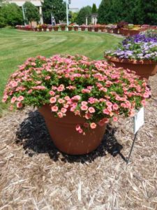 2016 Michigan State University Field Trials