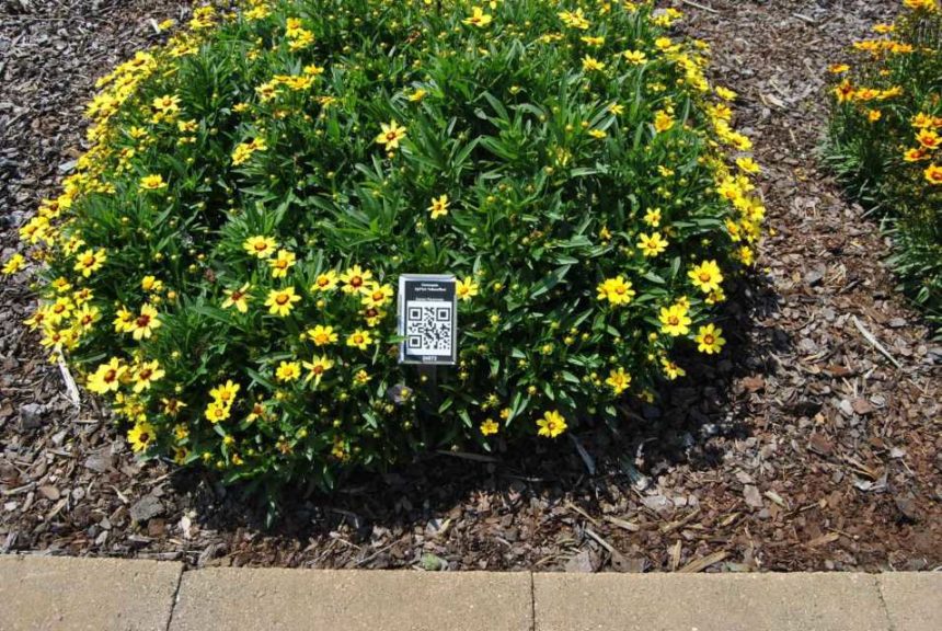 2016 Metrolina Greenhouses Field Trials