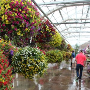 Walkway surrounded with colorful baskets