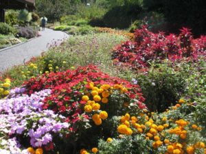 2016 Missouri Botanical Garden Field Trials