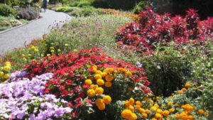 2016 Missouri Botanical Garden Field Trials Results