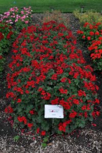 2016 Colorado State University Field Trials 