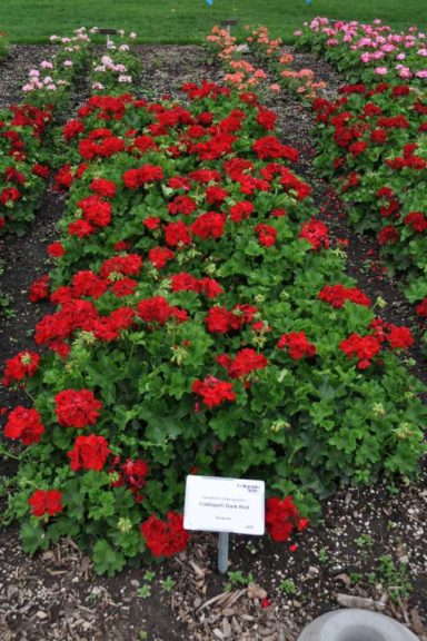 2016 Colorado State University Field Trials 