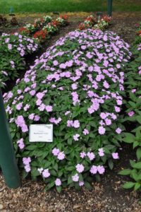 2016 Colorado State University Field Trials 