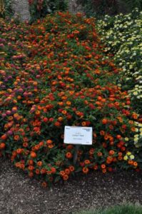 2016 Colorado State University Field Trials 