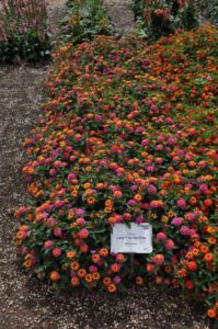 2016 Colorado State University Field Trials 