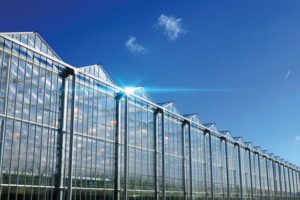 Tailor Alarm Functionality To Your Business Size