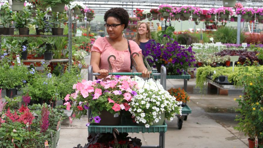 6 Simple Steps On How To Identify New Plant Customers - Greenhouse Grower