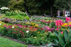 2016 Massachusetts Horticultural Society Field Trials