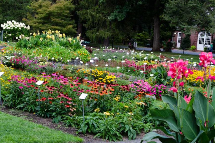 2016 Massachusetts Horticultural Society Field Trials
