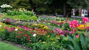 2016 Massachusetts Horticultural Society Field Trials Results