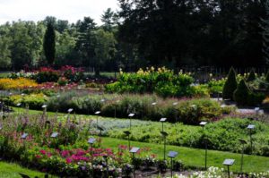2016 Massachusetts Horticultural Society Field Trials