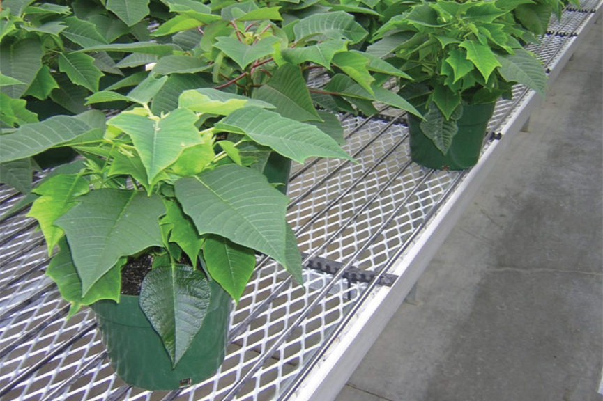 MicroClimate System (BioTherm)