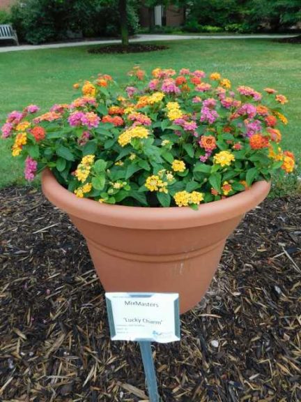 2016 Michigan State University Field Trials