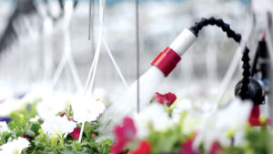 How You Can Water Plants Based On Basket Weight