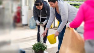 Charlie Hall on Innovations in Lean Flow, Automation, and More