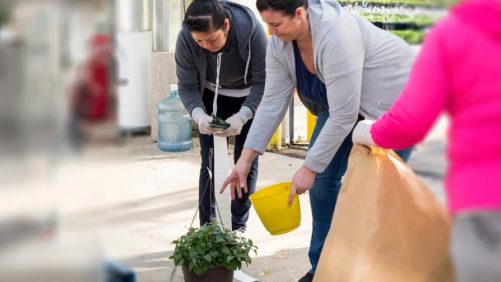 Charlie Hall on Innovations in Lean Flow, Automation, and More