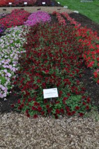 2016 Colorado State University Field Trials 