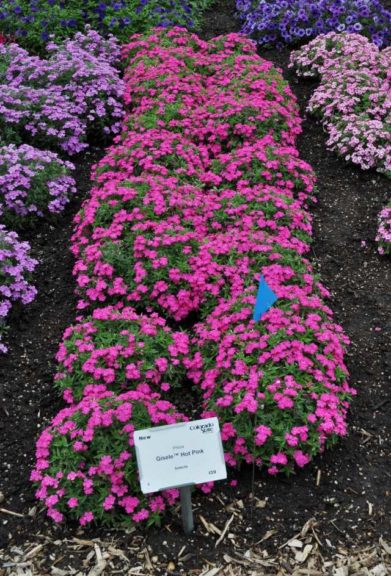 2016 Colorado State University Field Trials 