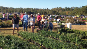 Building a Connection to Agriculture With the Next Generation