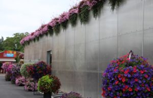 Roof line plantings transform a greenhouse
