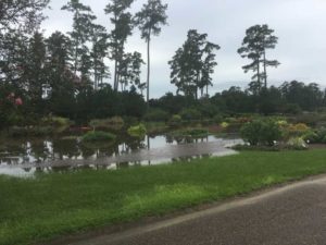 2016 Louisiana State University Field Trials