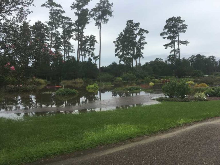 2016 Louisiana State University Field Trials