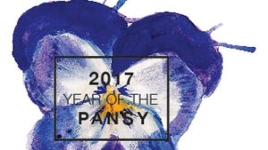 National Garden Bureau Providing Promotional Materials For “Year Of The” Program