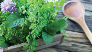 Are You Growing or Considering Culinary Herbs? Take This Survey