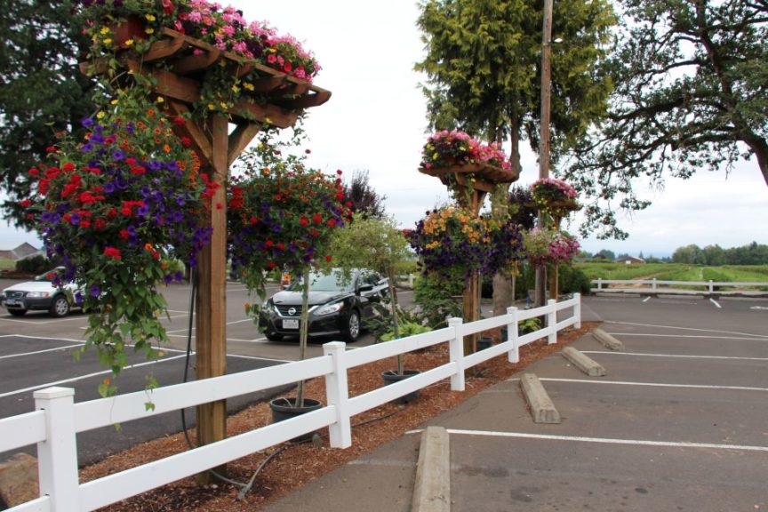 Parking lot plantings offer a colorful welcome to customers