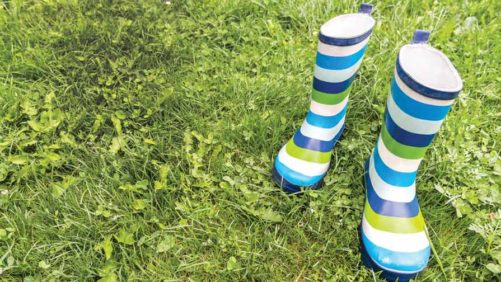 The Missing Gardener: How To Rebuild Our Customer Base