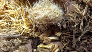 The Evolution And Revolution Of  Wood Substrates