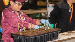 It’s Time to Put Your Company Talent First. Here’s How You Can Do It