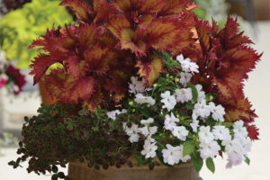 4 Container Trends To Watch