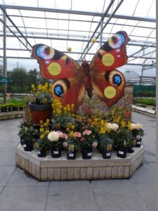 Make an impact with graphics