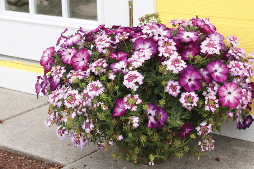 4 Container Trends To Watch