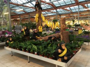 The finished display: it's easily consumed