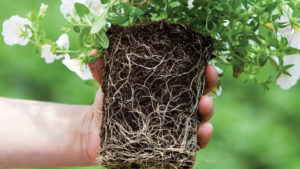 Profile Products Acquires Controlled-Release Fertilizer Supplier Florikan