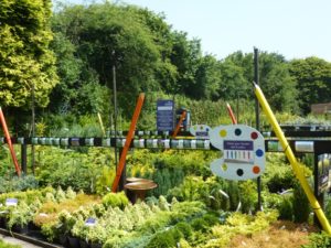 Plants = fashion and color