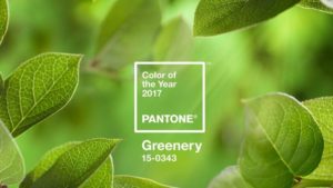 How To Merchandise Plants With Pantone’s 2017 Color Of The Year