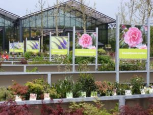 Eagle mode 3: What can I buy?