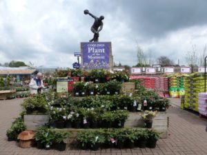 The pyramid profile is good for small spaces