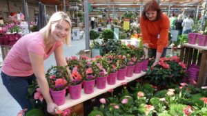 How You Can Benchmark Your Wages and Benefits