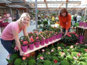 A well-trained staff ensures strong visual merchandising basics