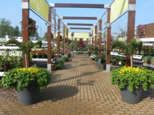 Eagle Mode 1 & 2: Where am I and where shall I go?