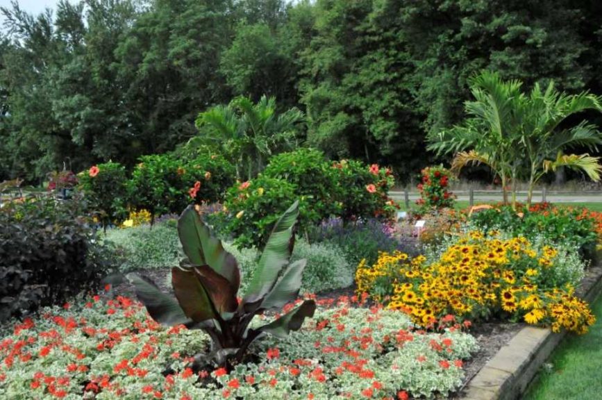 2016 C. Raker & Sons Field Trials Results