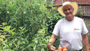 Allan Armitage Describes Veggies, Shade Plants, and Climbers That Can Help You Find Success in 2017